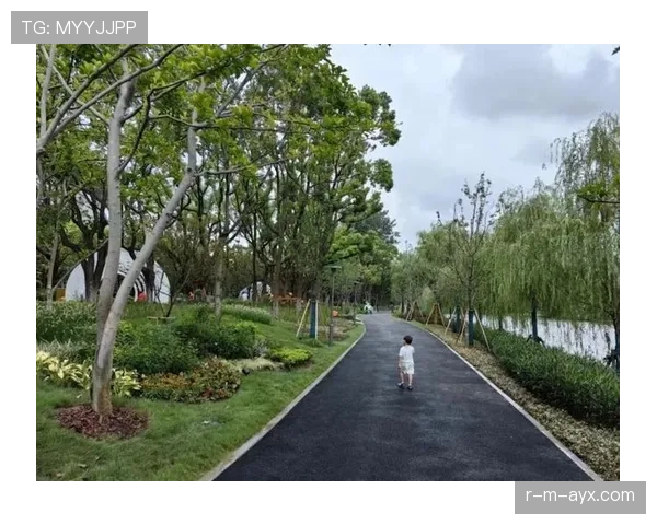 上海海港世纪公园引领城市绿色转型，打造市民休闲新地标